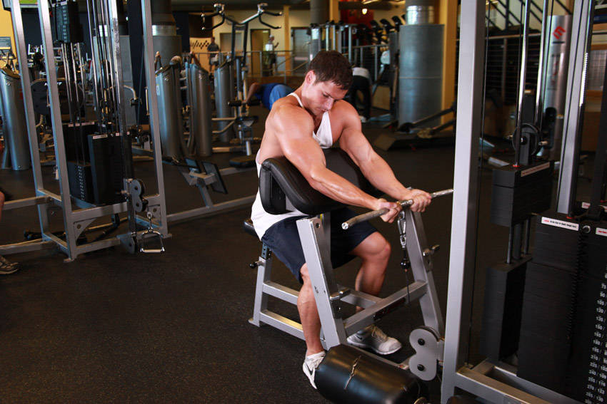 Cable Preacher Curl demonstration