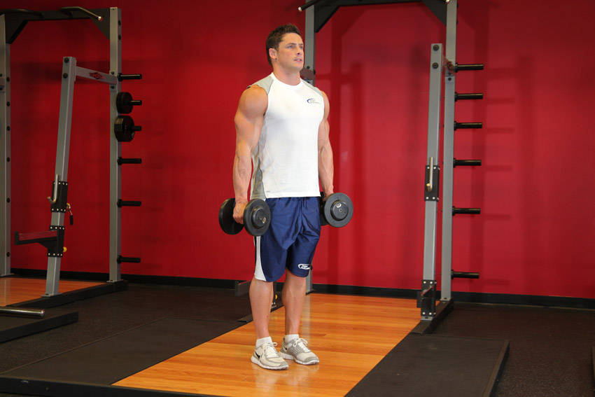 Cable Hammer Curl: uitvoering