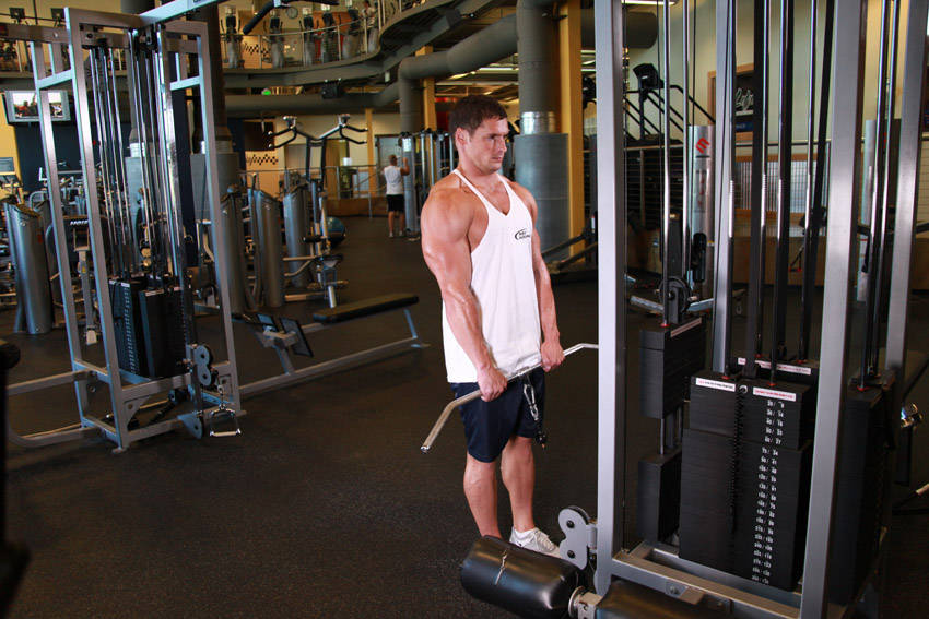 Cable Shrug demonstration
