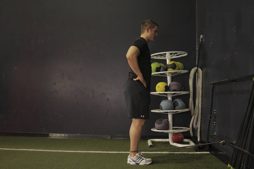 Quadruped Hip Extension: uitvoering