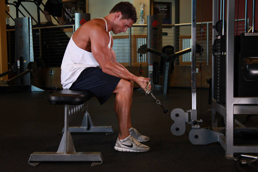 Cable Wrist Curl demonstration
