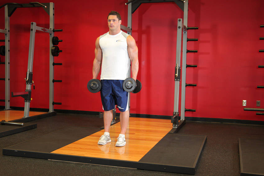 Supinating Dumbbell Curl demonstration