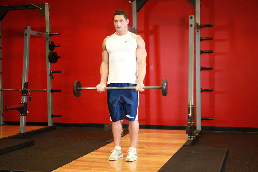 Narrow Grip Barbell Curl demonstration