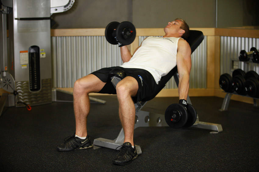 Seated Incline Dumbbell Curl demonstration