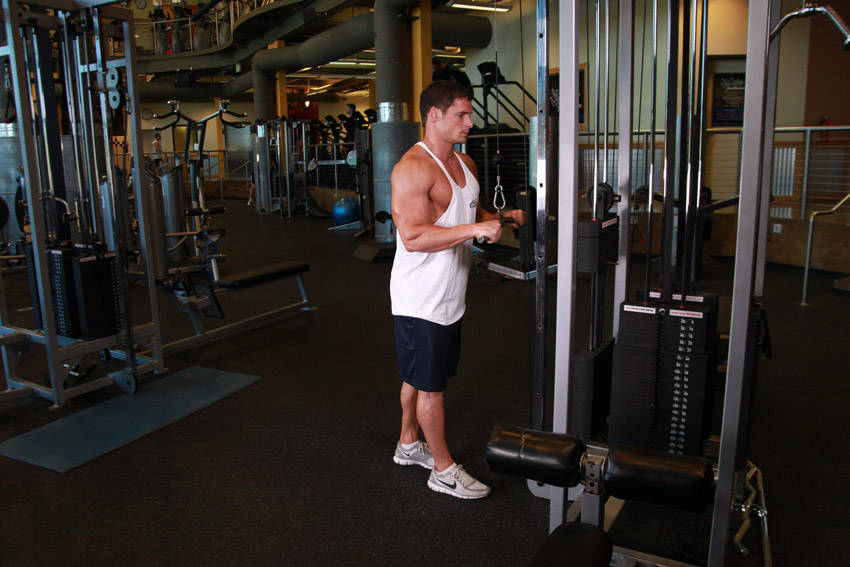 Band Tricep Pushdown demonstration